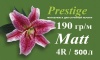 Бумага Prestige  10х15 A6 Матовая 190гр. 500л.